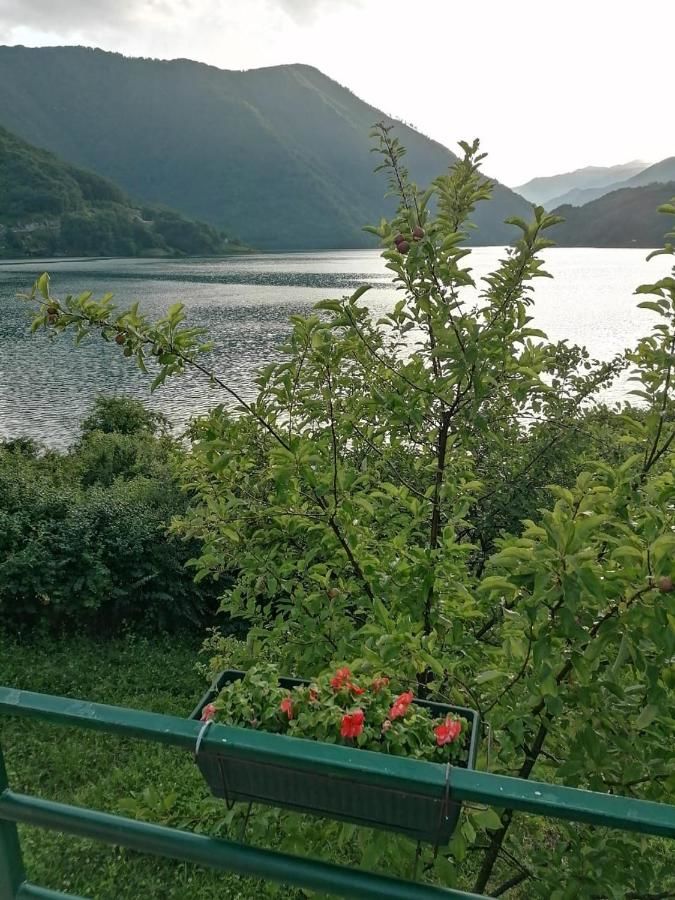 Отели типа «постель и завтрак» B&B Konak Плужине-7