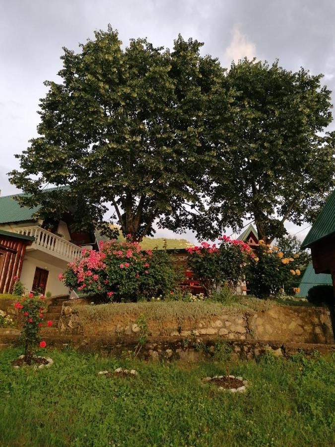 Отели типа «постель и завтрак» B&B Konak Плужине-11