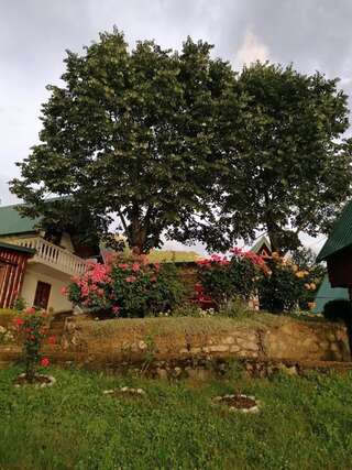 Отели типа «постель и завтрак» B&B Konak Плужине-7