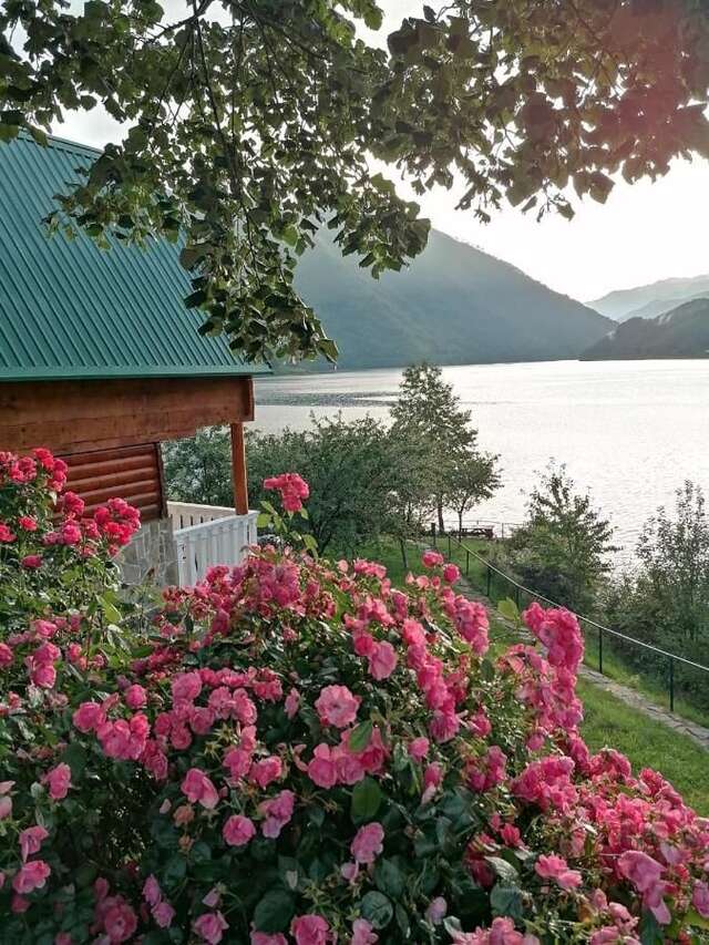 Отели типа «постель и завтрак» B&B Konak Плужине-9